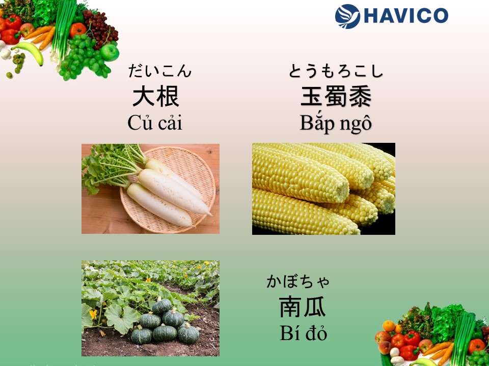 Từ vựng tiếng Nhật: Chủ đề rau củ