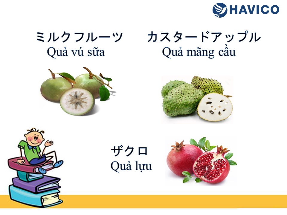 Từ vựng tiếng Nhật: Chủ đề hoa quả