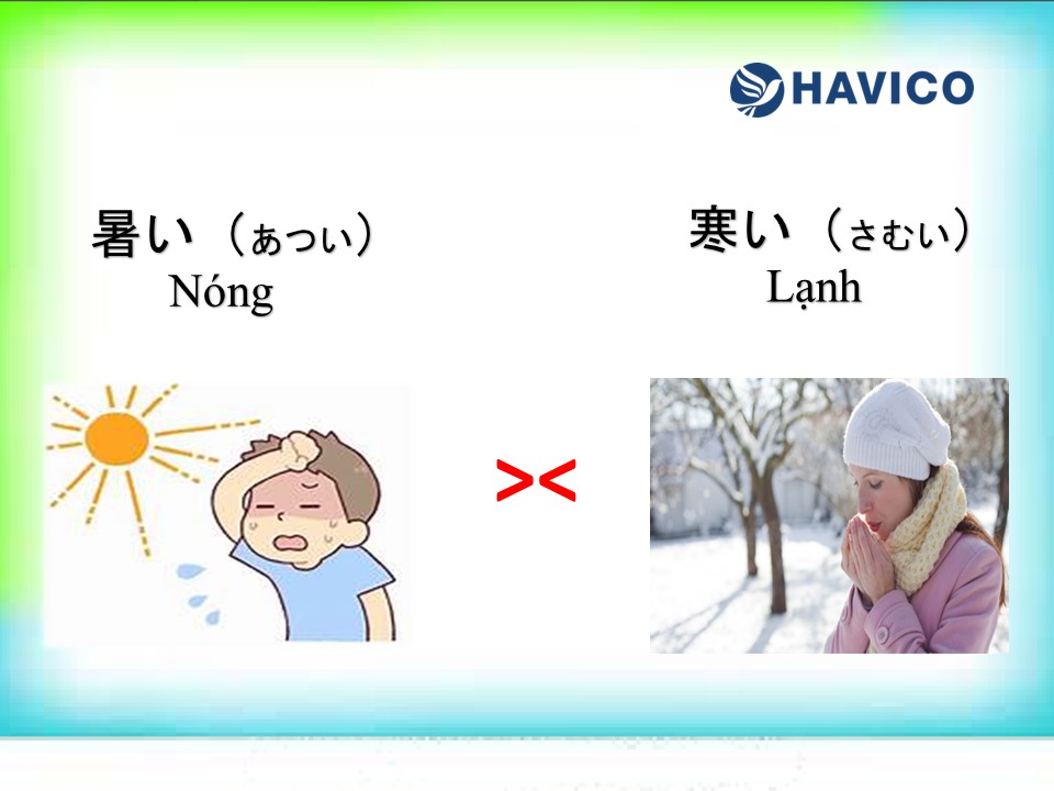 Cặp tính từ trái nghĩa trong tiếng Nhật N5