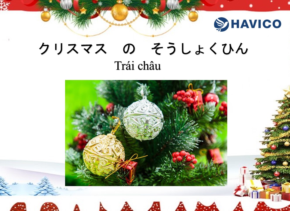 Từ vựng tiếng Nhật: Chủ đề Giáng sinh
