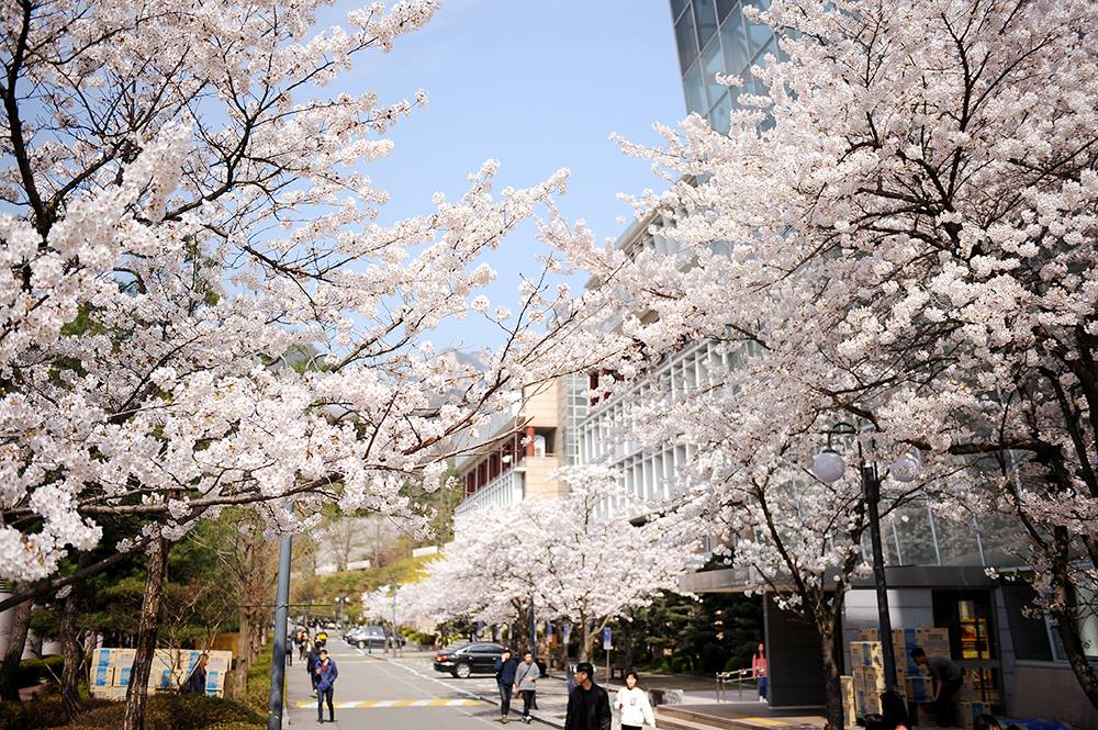 Trường đại học Kookmin Hàn Quốc (국민대학교) - Zila Education