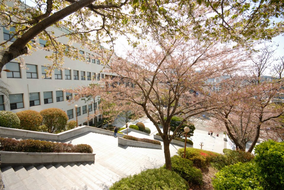 Đại học Daejin | Trường đào tạo đa chuyên ngành nổi tiếng tại Hàn Quốc Korea.net.vn