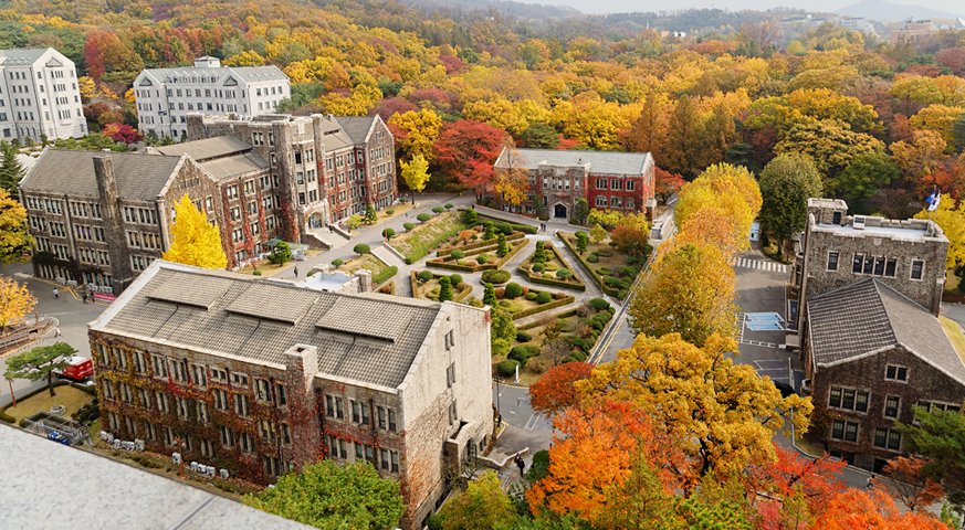 Đại học Yonsei Hàn Quốc: Du học top 3 trường ĐH danh giá bậc nhất!