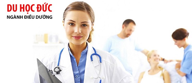Du học Đức nên học ngành gì? Top ngành tại Đức có thu nhập cao